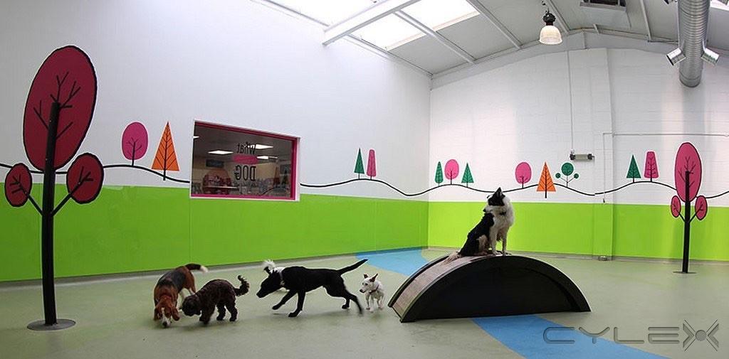 A Dog Play Pen With Wall Doodle